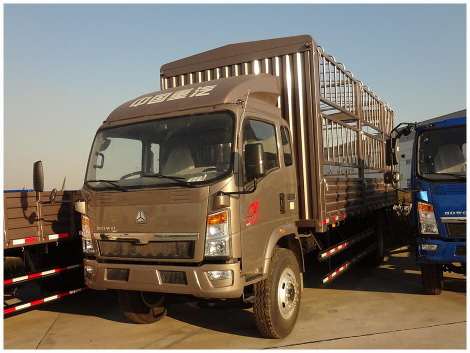 Sinotruk Light Stake Cargo Truck